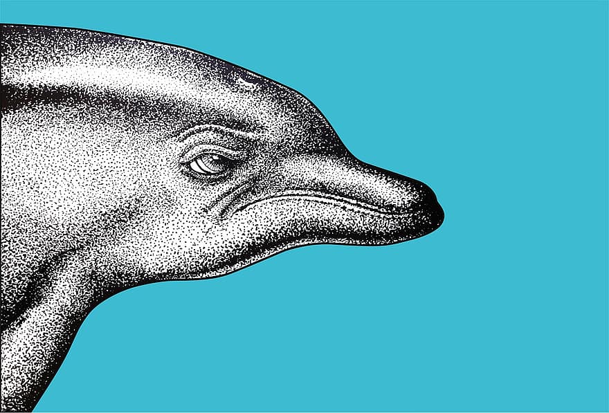 delfinų, Ranka piešta iliustracija, punktilizmas, Iš arti, jūros padaras, gyvūnas