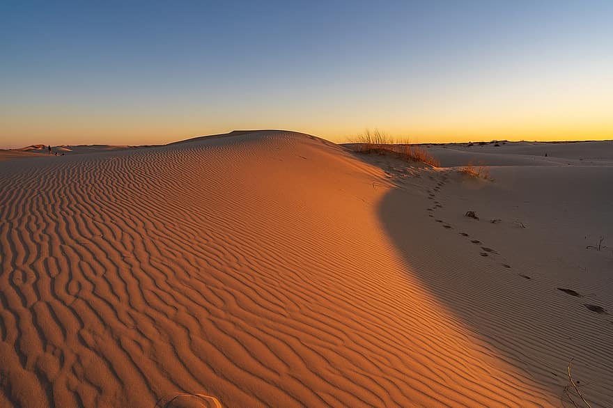 désert, le sable, dunes, lever du soleil, la nature, Texas, paysage, dune de sable, le coucher du soleil, lumière du soleil, sec