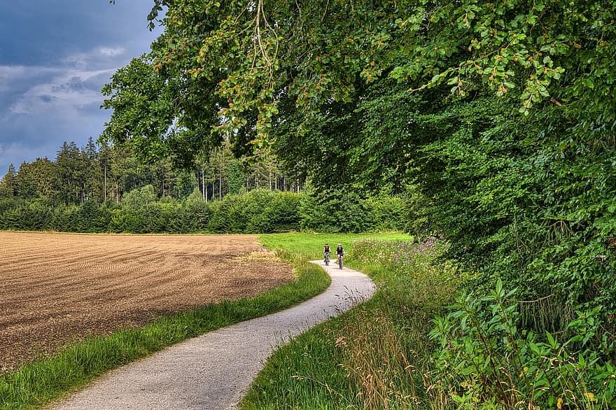 Trail, Bicycle Path, Cyclists, Trees, Field, Meadow