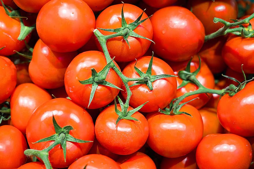 tomater, grøntsager, mad, sund og rask, røde tomater, ernæring, organisk