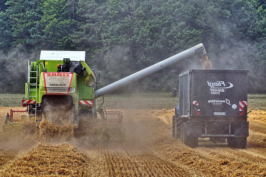 Combine Harvester, Tractor, Harvest, Cornfield, Dust, Straw, Grain, Agriculture, Summer, Drought, Harvester