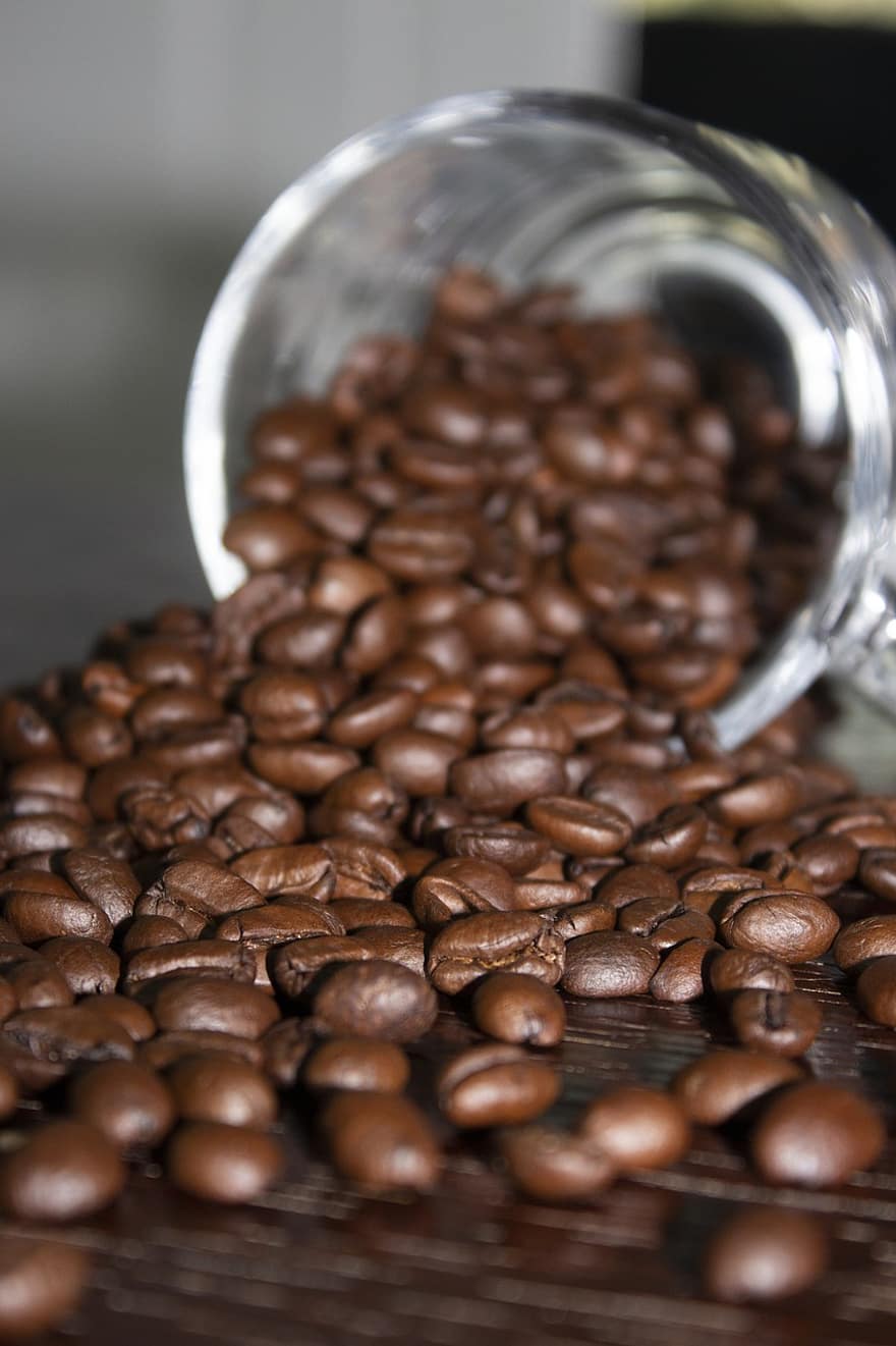 kaffe, bønner, brun, bakt, stekt kaffebønner, kaffebønner, koffein