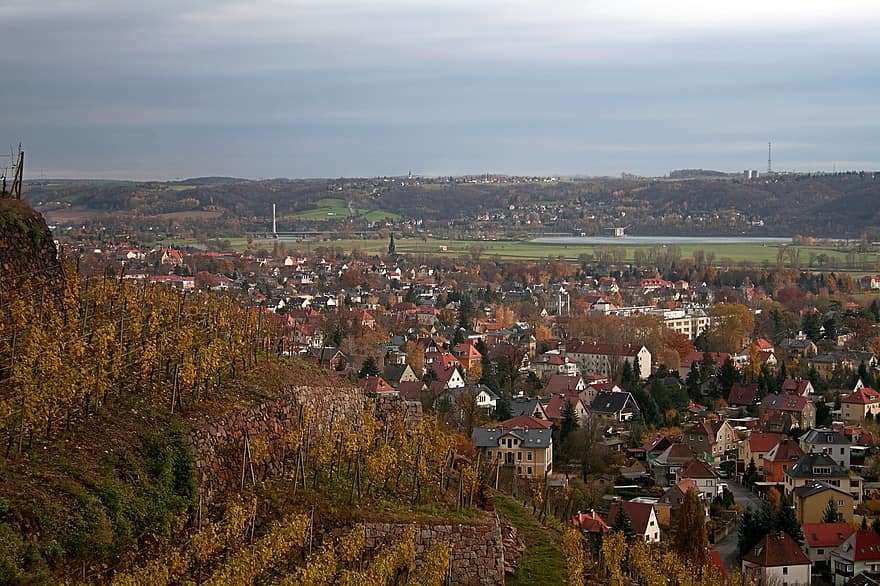 vigneto, vite, valle dell'Elba, Sassonia, viticoltura, foglie d'autunno, autunno, città, Radebeul, paesaggio urbano, scena rurale