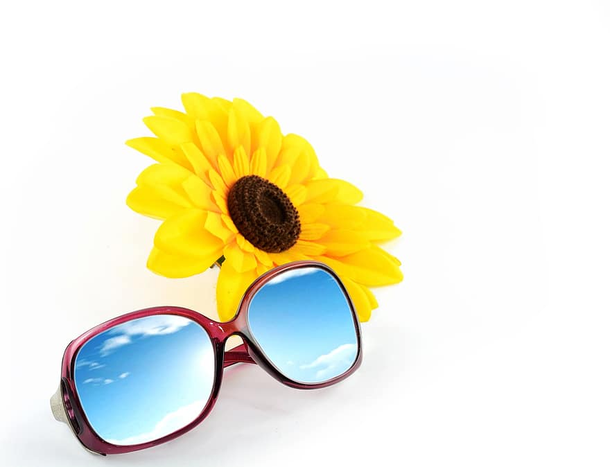 solsikke, solbriller, himmel, refleksjon, briller, nyanser, gul blomst, blomst, isolert, scene, gul