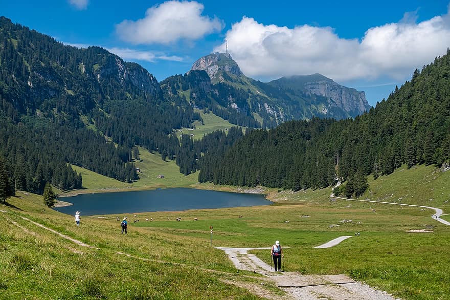 Berge, Weg, See, Wald, Bäume, Menschen, Wandern, Landschaft, Appenzell, Natur, Panorama