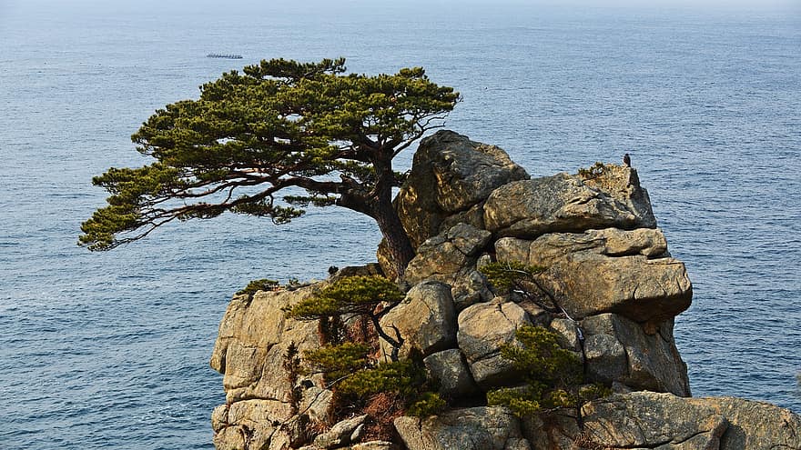 bergformasjon, hav, Sør-Korea, natur, landskap, klippe, kystlinje, stein, vann, blå, sommer