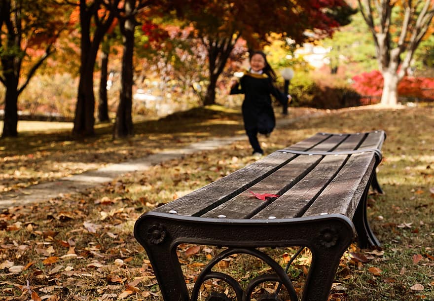 stende, parkas, lauke, išorėje, sėdynės, ruduo, rudenį, cheongju