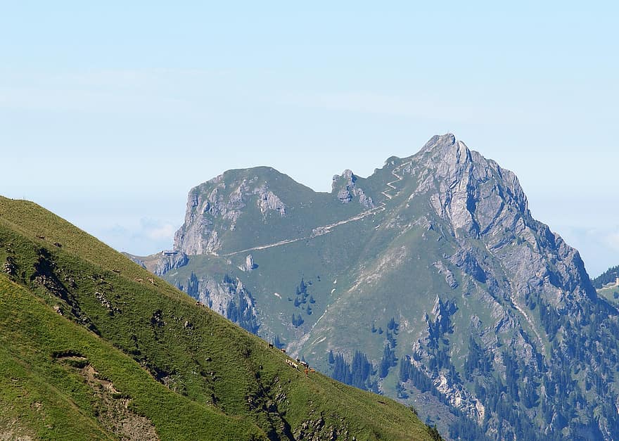 Aggenstein, Valle Tannheimer, tannheim, montaña, Tirol del norte, Alpes, hierba, pico de la montaña, verano, paisaje, color verde