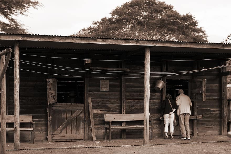 safari, stable, cabanon, faune, touristes, tour, Kenya