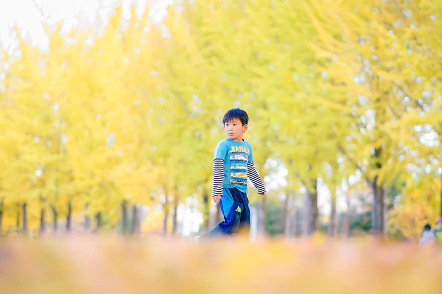 criança, Garoto, parque, jovem, jogando, fofa, adorável, japonês, ao ar livre, arvores, outono