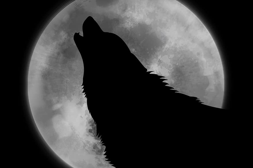 волк, Луна, животное, силуэт, свет луны, мистический, плач, хищник