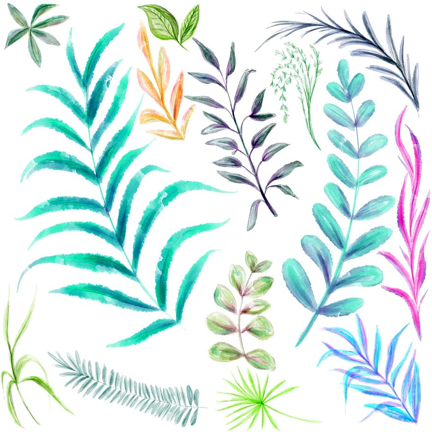 vodové barvy, listy, malování, Skupina Listů, rostlin, vegetace, ilustrace, lisování, list, zahrada, palma