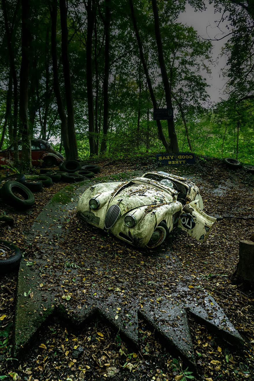 jaguaras, senovinis automobilis, miškas, lenktynių trasa, konvertuojamas automobilis