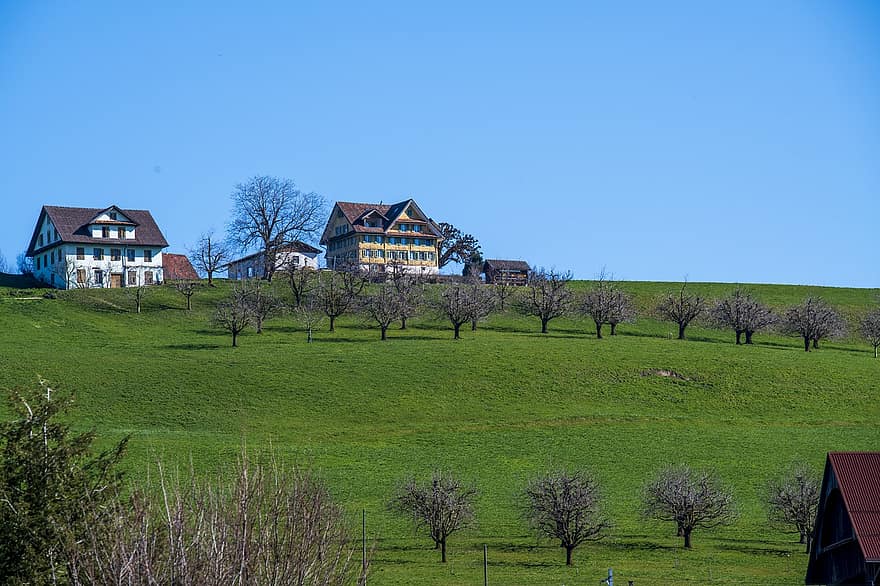 сельская местность, городок, деревня, на открытом воздухе, дома, Швейцария, озеро Люцерн, сельская сцена, ферма, луг, трава