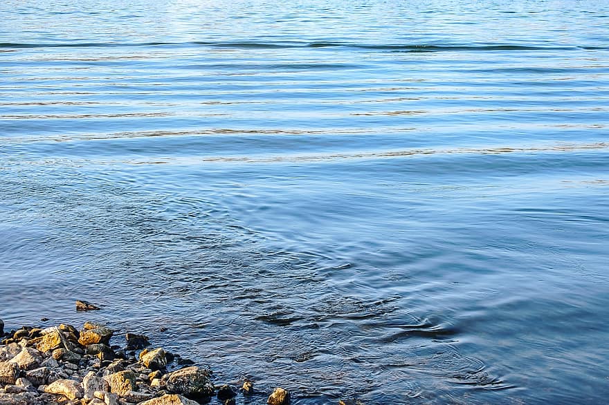riu, riu Rin, aigua, naturalesa, paisatge, onada, blau, fons, estiu, escena tranquil·la, reflexió