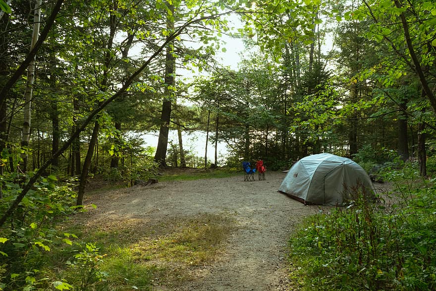 campingplats, natur, utomhus-, tält, äventyr, Semester, skog, träd, camping, rekreation, ingen