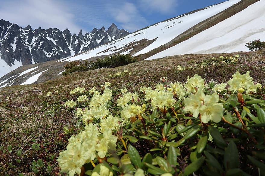 Mountains, Clouds, Spring, Winter, Vertices, Snow, Nature, Glens, Kamchatka, Range Vostracky, Flowers