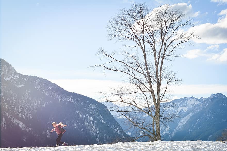 talvi-, vuoret, tyttö, lapsi, pelaaminen, juosta, puu, lumi, talvella, luminen, talvinen