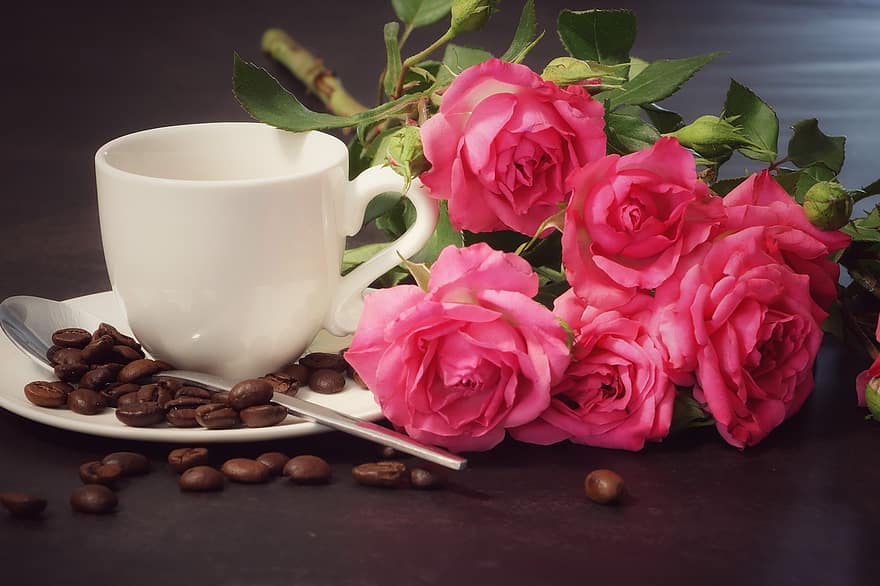 flori, trandafiri, cafea, espresso, băutură, ceașcă, cafeină