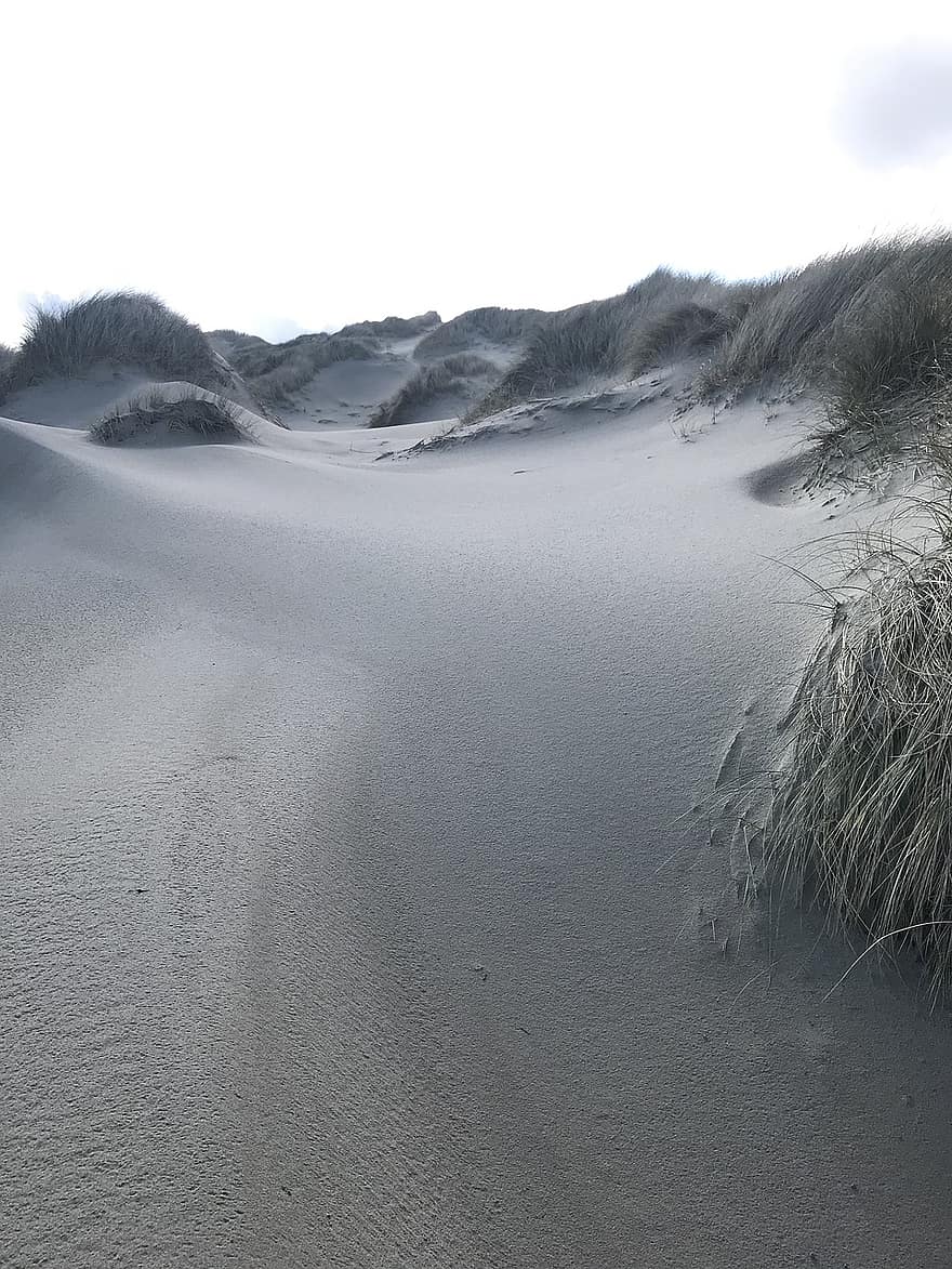 dunas, de praia, areia, mar, panorama, costa, Preto e branco, relaxamento, vista do mar