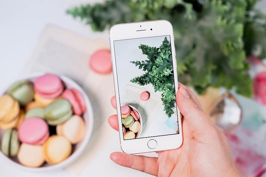 smartphone, distesa piatta, macarons, composizione, fotografia, fotografia del telefono, fotografia di cibo, macarons francesi, pianta, dolci, biscotti