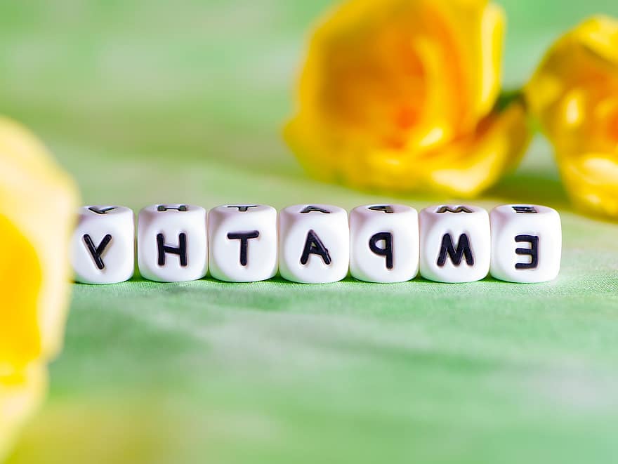 English Word, Empathy, Beads, Photos, Green Background, Yellow, Help, Social, Care, Community, Concept
