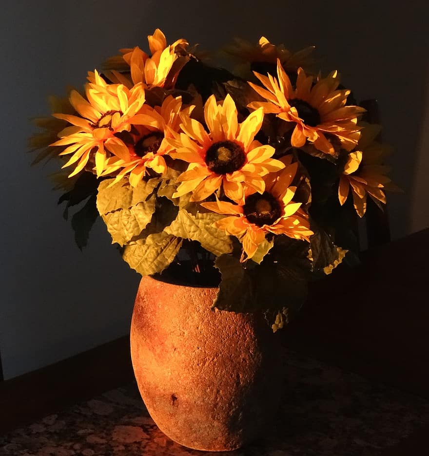 Sonnenblume, Spätsommer, Jahreszeit, Blume, Herbst