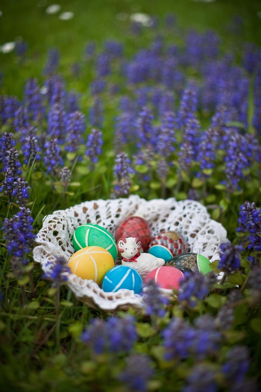 velikonoční vajíčka, fialové květy, velikonoční, barevné vejce, veselé Velikonoce, modré květy, tráva, jaro, vícebarevné, sezóna, květ