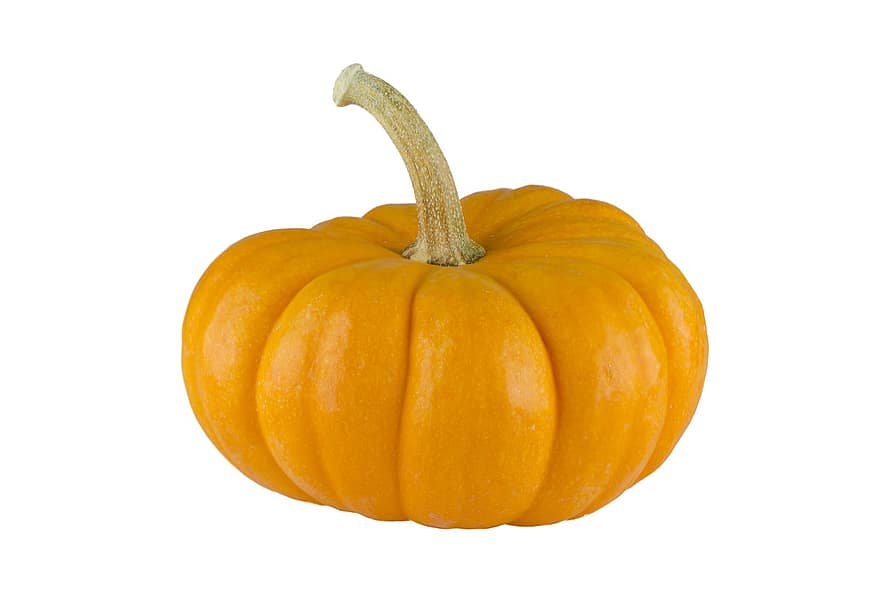 かぼちゃ、白色の背景、押しつぶす、秋、季節の、フード、ハロウィン、感謝祭、10月、デコレーション、オレンジ