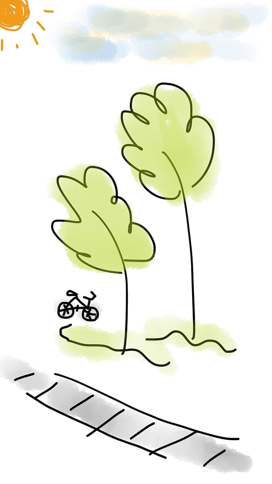 Fahrrad, Baum, draussen, Grün, Weg, Sport, Straße, Aktivität, Radfahren, Sonne, sonnig