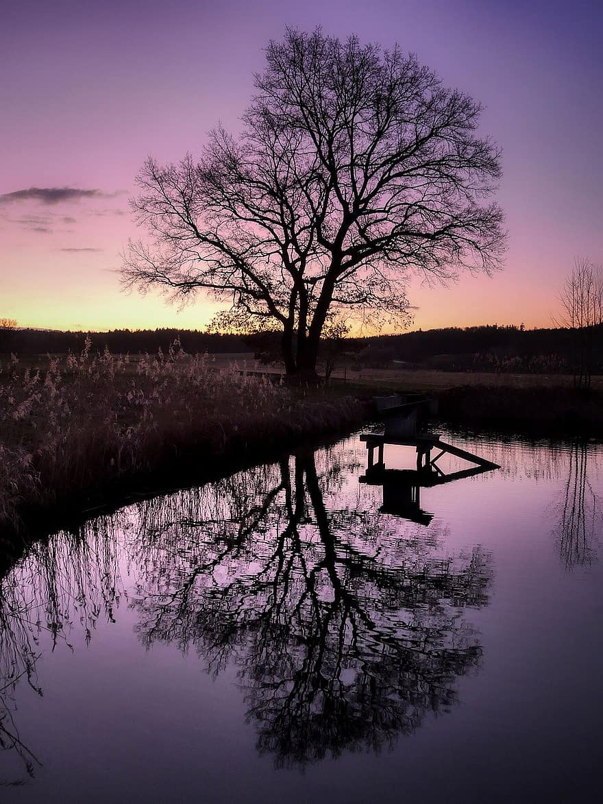 Lac, étang, arbre, eau, la nature, veille, crépuscule, réflexion, paysage, le coucher du soleil, silhouette