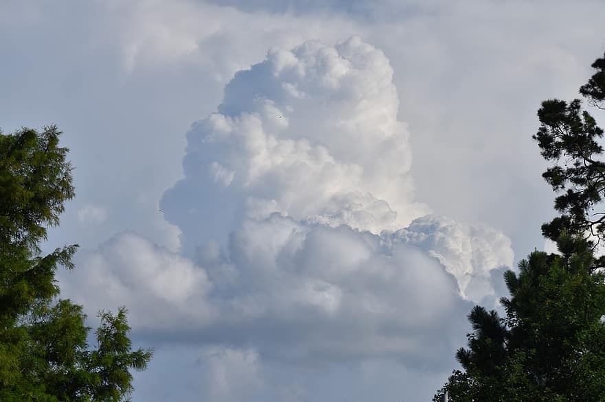 Wolken, Kumulus, Mammatuswolken, Linsenförmige Wolken, gestapelt, Stratus, Stratocumulus, Wetter, Phänomen, Norwegen, Winter