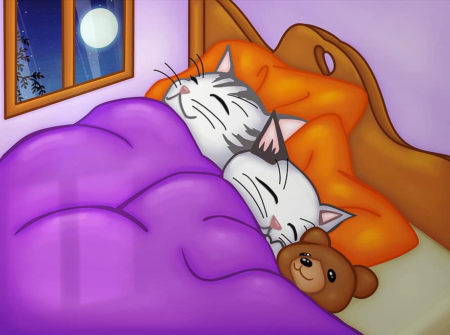 pisici, siestă, odihnă, noapte, dormi, animale, pat, vis, lună, desen animat, animale de companie