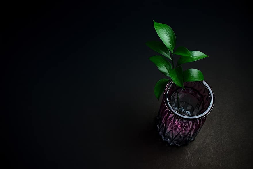 Plant, Vase, Still Life, Leaves, Branch, Minimalist, Decor, Rustic, Botanical, Dark, Scandinavian Style