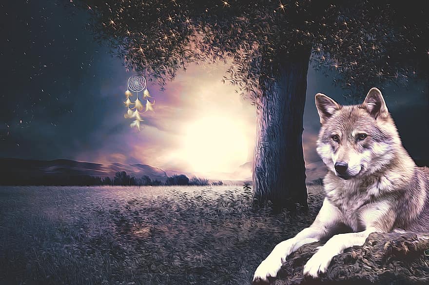 chó sói, người bắt giấc mơ, đêm, trăng tròn, phong cảnh, cây, tâm trạng, bóng tối, sáng tác, bầu trời, ánh trăng
