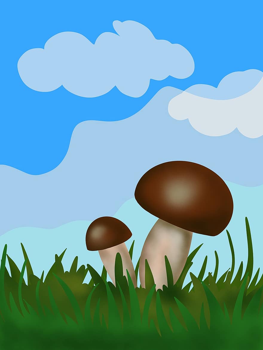 гриб, трава, небо, облака, природа, хобби, лес, зеленый, завод, дикий, летом