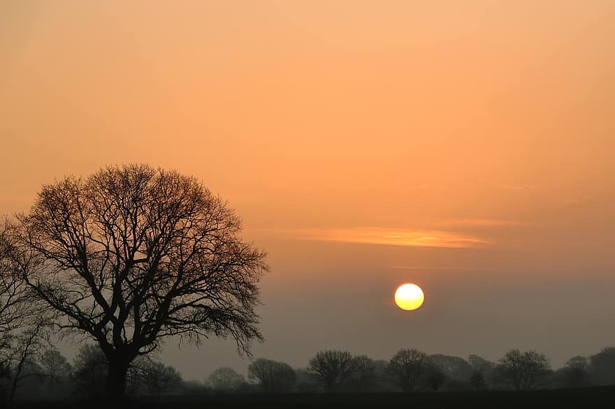 posta de sol, sol, bosc, arbres, cel, núvols, naturalesa, paisatge, primavera, boira, boscos