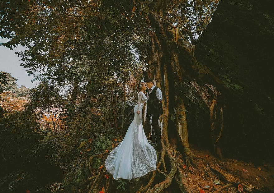 двойка, сватба, целувка, гора, дървета, природа, булка, младоженец, романтичен, младоженен, сватбен ден