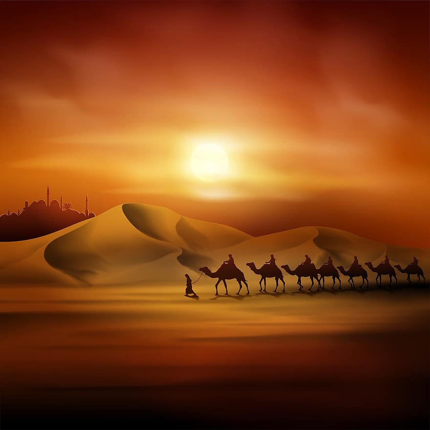 заход солнца, пустыня, верблюды, верблюжий поезд, караван, животные, песок, дюна, путешествовать, поездка, приключение