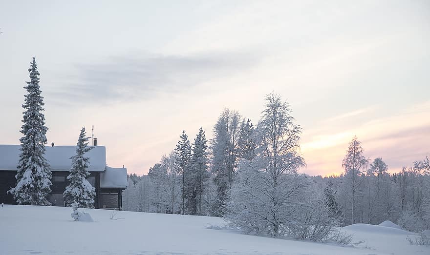 зима, снег, пейзаж, лес, Лапландия, Финляндия, городок, холодно, мороз, снежно, вечер
