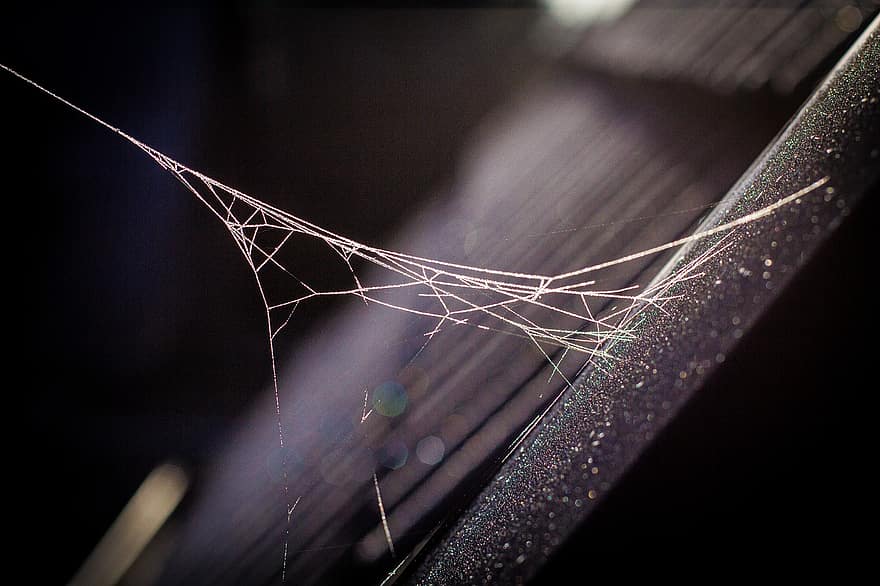 spindelvev, edderkopp, web, nærbilde, bakgrunn, makro, tråd, miste, abstrakt, mønster, natt