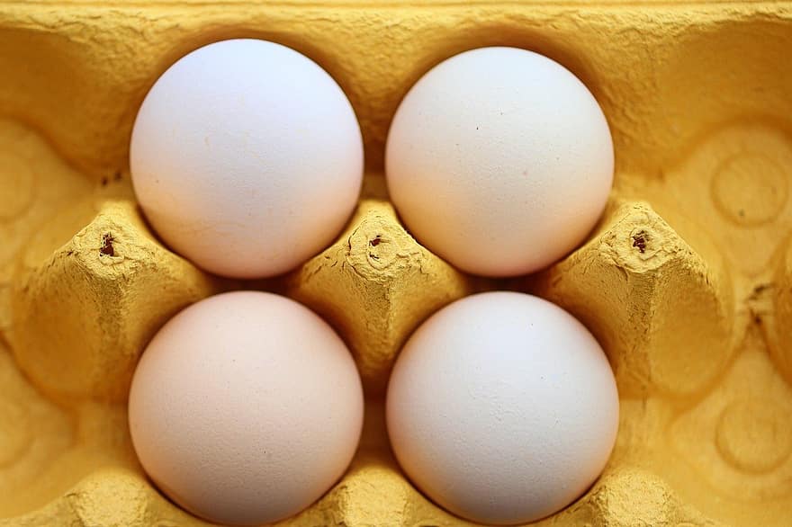 trứng, trứng gà, món ăn, hữu cơ, hộp trứng, thùng carton, bao bì, lưu trữ, đóng lại, trứng động vật, sự tươi mát