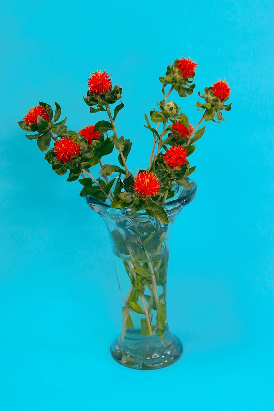 rouge, fleurs, vase