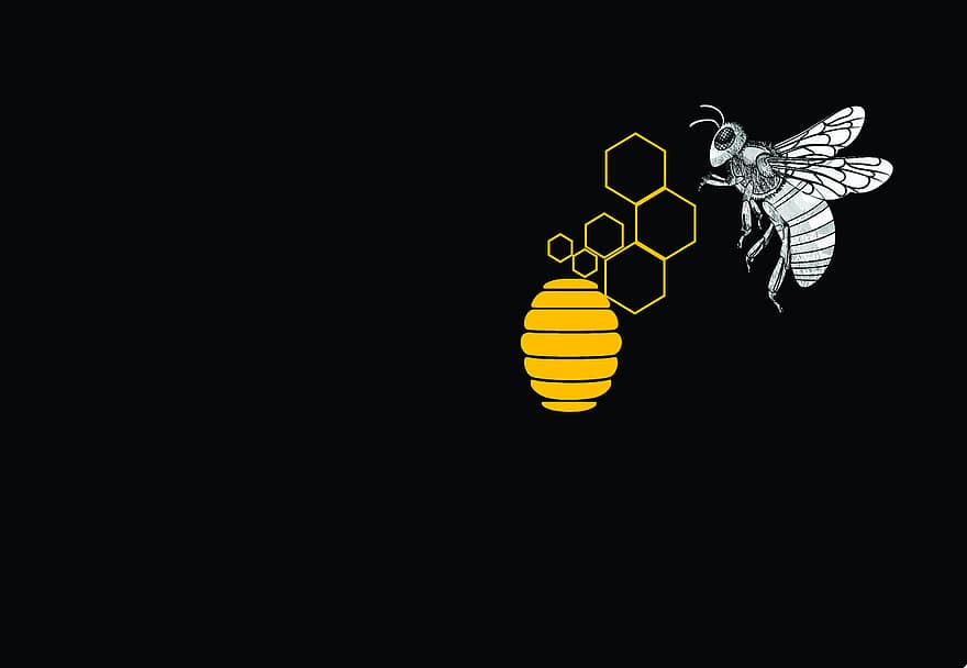 hunajamehiläinen, mehiläispesä, hunaja, mehiläinen, hunajakenno, luonto, Hive