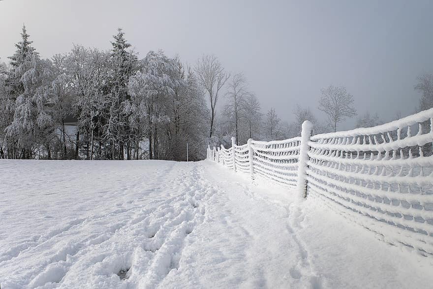 inverno, nebbia, campo, natura, paesaggio invernale, foresta, la neve, paesaggio, albero, stagione, brina