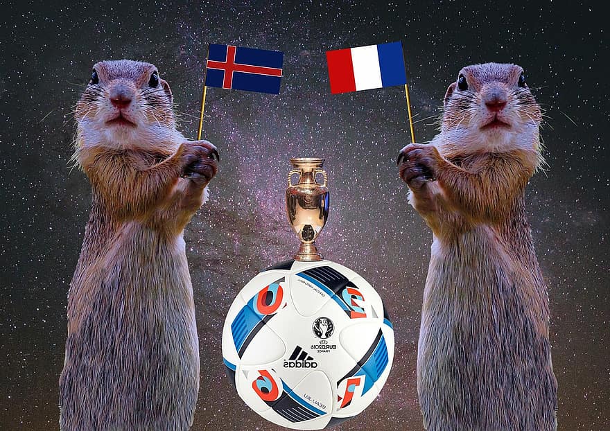 2016, Quarter-finals, Football, Em, National Colours, Flag, European Championship, Uefa European Football Championship, Tournament, Sport, Iceland - France