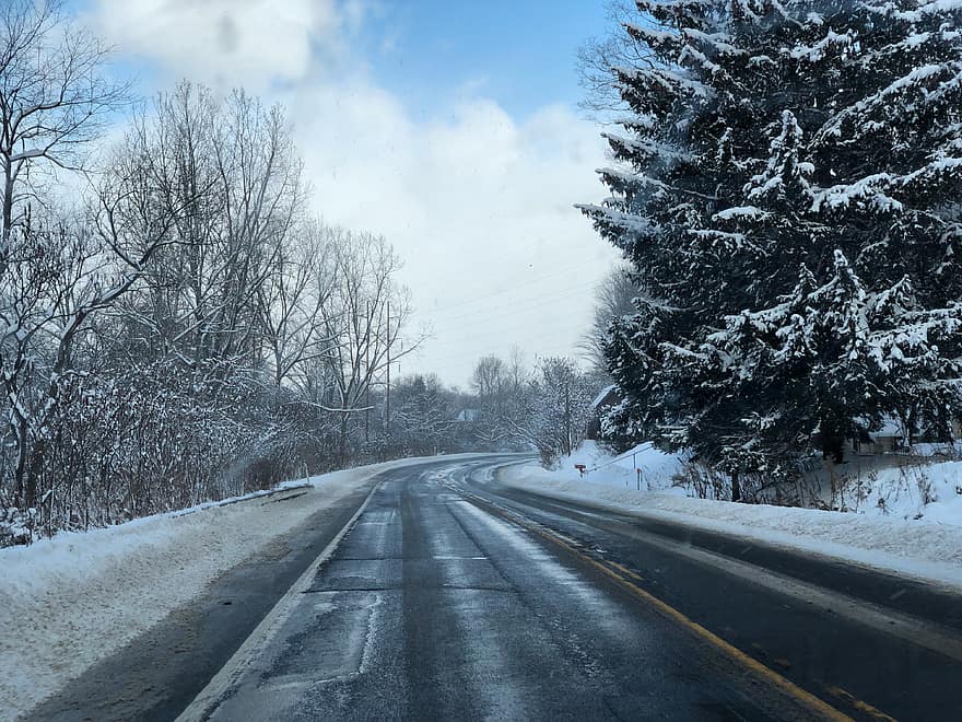 道路、冬、雪、木、コールド、運転する、田舎、自然、降雪、風景、旅行