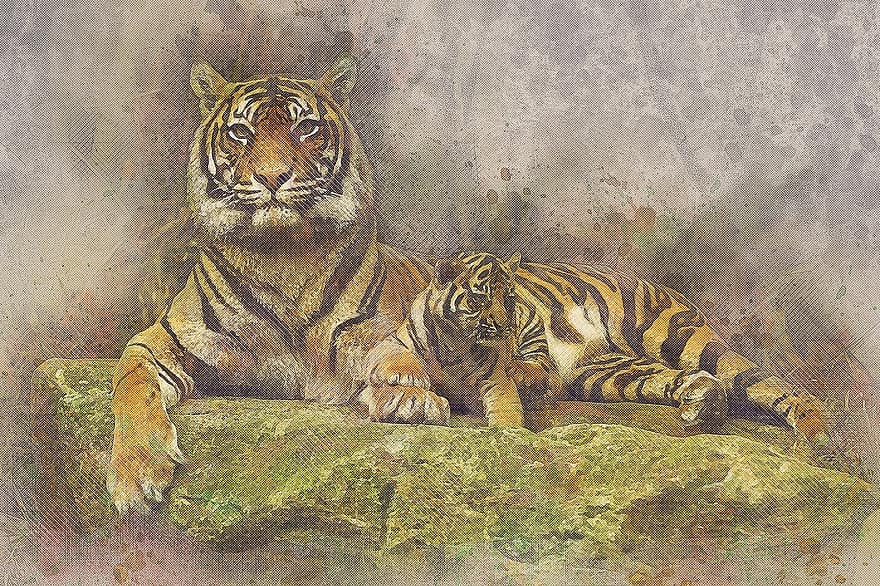 tigre, gat, cub, felí, exòtic, posant, depredador, animal, perillós, naturalesa, mamífer