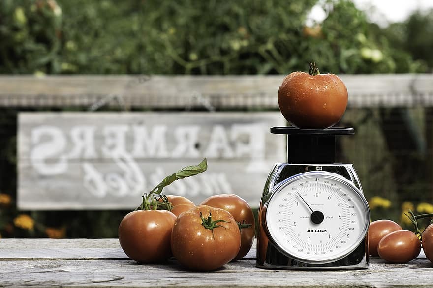 los tomates, vegetales, mercado, cosecha, Fresco, otoño, comida, sano