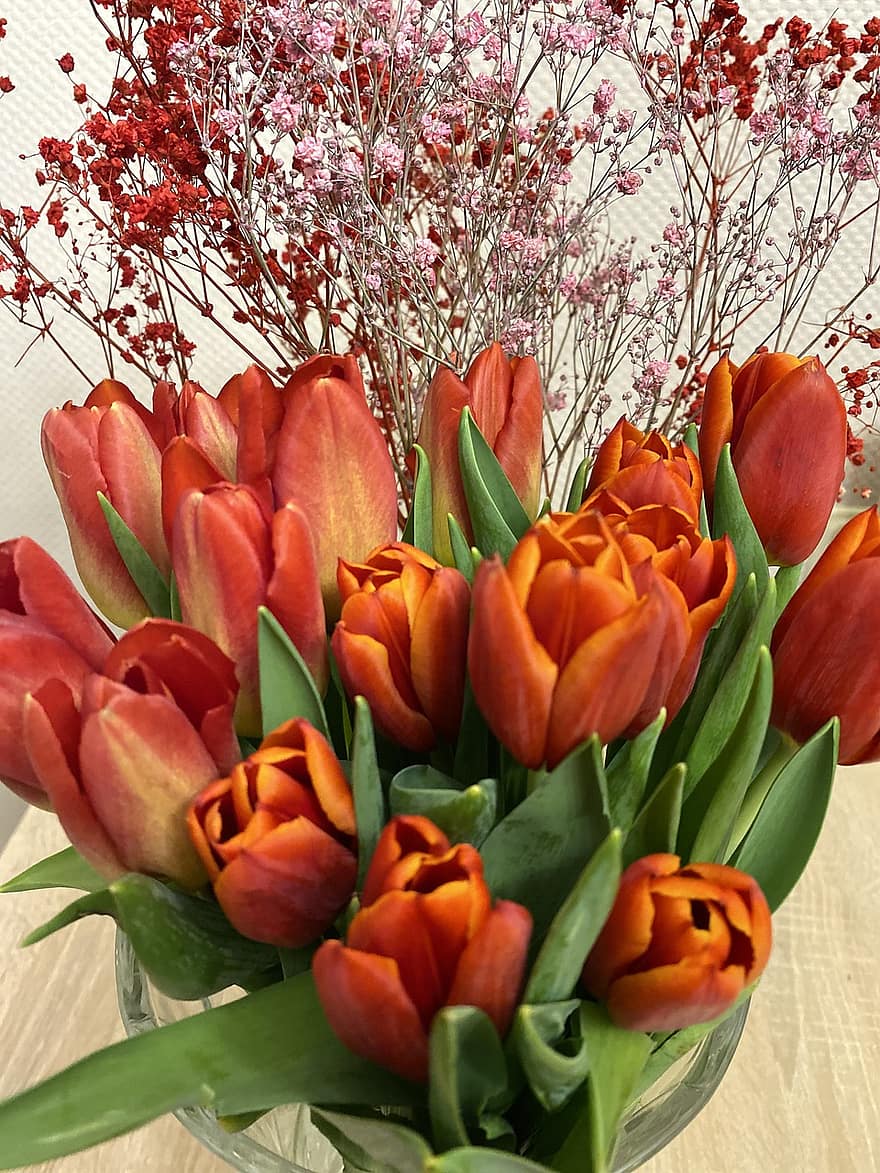 ramo de flores, las flores, tulipanes, plantas, primavera, regalo, decoración, floración, flor, tulipán, planta